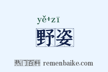 野姿是什么意思的图片